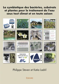 La symbiotique des bactéries, substrats et plantes pour le traitement de l’eau sous tout climat et en toute saison