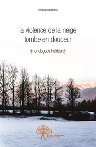 La violence de la neige tombe en douceur