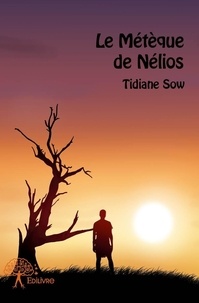 Tidiane Sow - Le métèque de nélios.