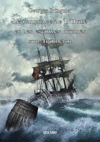 Georges Bringuier - Le naufrage de L'Utile et les esclaves oubliés sur Tromelin.