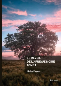 Le réveil de l'Afrique noire Tome 1