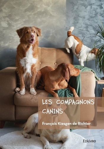 Boutons De Manchette Avec Boite-Cadeau - Grand Qualité - Cylindre Boutons De Manchette Avec Boite-Cadeau - Grand Qualité - Cylindre