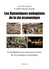 Ekomo engolo (sous la directio Camille - Les dynamiques endogènes de la vie économique - Contribution aux nouveaux terrains de la sociologie économique.