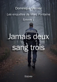 Les enquêtes de Marc Fontaine