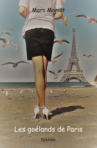 Les goélands de paris