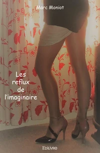 Les reflux de l'imaginaire