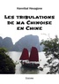 Hannibal Hexagone - Les tribulations de ma Chinoise en Chine.