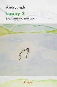 Loupy 2