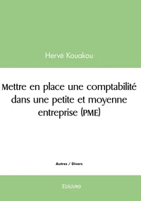 Mettre en place une comptabilité dans une petite et moyenne entreprise (PME)