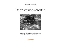 Eric Gaudin - Mon cosmos créatif - Mes palettes créatrices.