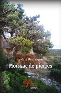 Sylvie Devraigne - Mon sac de pierres.