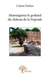 Colette Dufour - Monseigneur le goéland du château de la napoule.