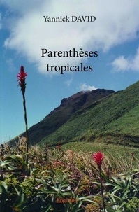 Yannick David - Parenthèses tropicales.