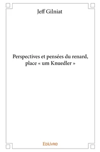 Perspectives et pensées du renard, place « um Knuedler »