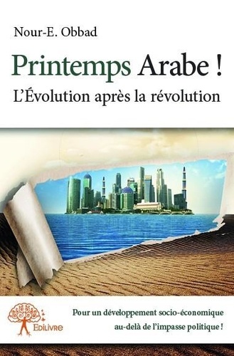 Printemps arabe !. L’Évolution après la révolution