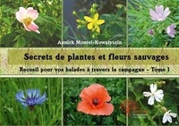 Annick Montel-Kowalyszin - Secrets de plantes et fleurs sauvages - Recueil pour vos balades à travers la campagne - Tome 1.