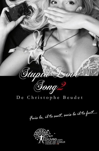 Christophe Beudet - Stupid love song 2 : Stupid love song 2 - 2.