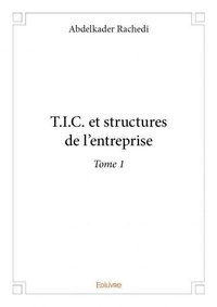 Abdelkader Rachedi - T.i.c. et structures de l'entreprise 1 : T.i.c. et structures de l'entreprise.