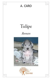 Tulipe