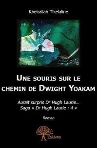 Kheirallah Tikelaline - Dr Hugh Laurie 4 : Une souris sur le chemin de dwight yoakam...aurait surpris dr hugh laurie....