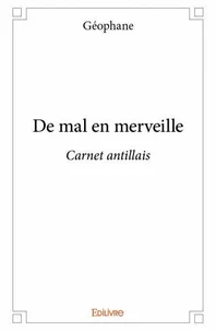 Vingt huit mois d\'amour,