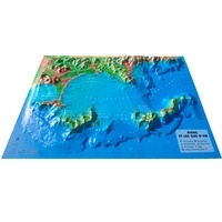  3D Map - Carte en relief de Giens et les îles d'Or - 1/145 000.