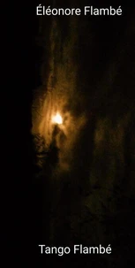 Tango Flambé