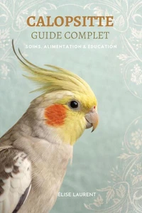 Calopsitte Guide Complet: Soins, Alimentation & Éducation