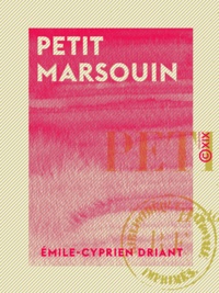 Émile-Cyprien Driant - Petit Marsouin - Histoire d'une famille de soldats, 1870-1886.