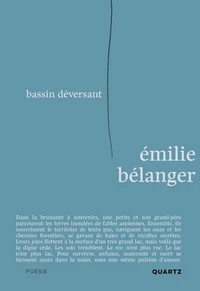 Bassin deversant