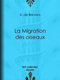 La Migration des oiseaux