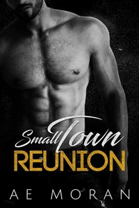 Small Town Reunion