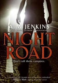 A. M. Jenkins - Night Road.