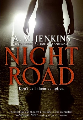 A. M. Jenkins - Night Road.