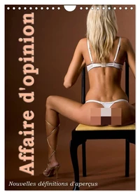 Affaire d'opinion