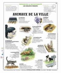  Deyrolle pour l'avenir - Animaux de la ville - Poster 50x60.