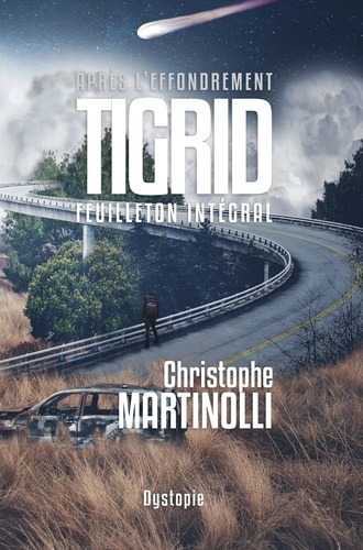 Christophe Martinolli - Après l'effondrement 5 : Après l'effondrement · Tome 5 - Tigrid - Feuilleton intégral.