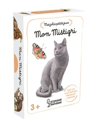 Boîte jeu mistigri