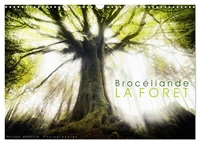 BROCELIANDE, la forêt (Calendrier mural 2027 DIN A3 vertical), CALVENDO calendrier mensuel