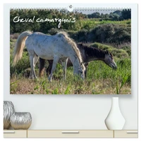 Cheval camarguais (Calendrier mural haut de gamme 2027 DIN A2 vertical), CALVENDO calendrier mensuel