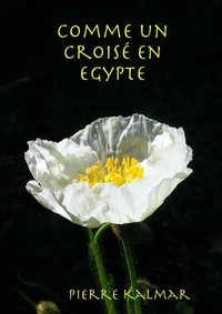 Comme un croisé en Egypte