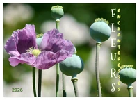 DES FLEURS ENCHANTERESSES (Calendrier de bureau 2026 DIN A5 vertical), CALVENDO calendrier mensuel