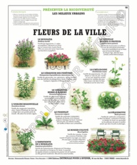  Deyrolle pour l'avenir - Fleurs de la ville - Poster 50x60.