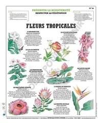  Deyrolle pour l'avenir - Fleurs en danger dans le monde - Poster 50x60.