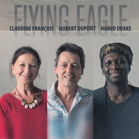Flying eagle