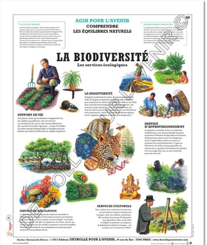  Deyrolle pour l'avenir - La biodiversité - Poster 50x60.