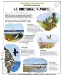  Deyrolle pour l'avenir - La Bretagne vivante - Poster 50x60.