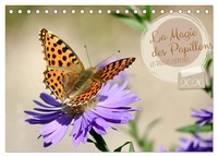 LA MAGIE DES PAPILLONS (Calendrier de bureau 2026 DIN A5 vertical), CALVENDO calendrier mensuel