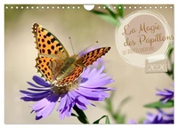 LA MAGIE DES PAPILLONS (Calendrier mural 2026 DIN A4 vertical), CALVENDO calendrier mensuel