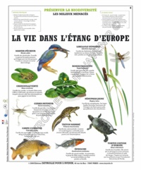  Deyrolle pour l'avenir - La vie dans l'étang d'Europe - Poster 50x60.